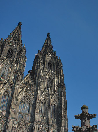 Kreuzblume vor Kölner Dom