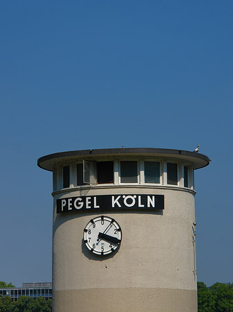 Pegel Köln
