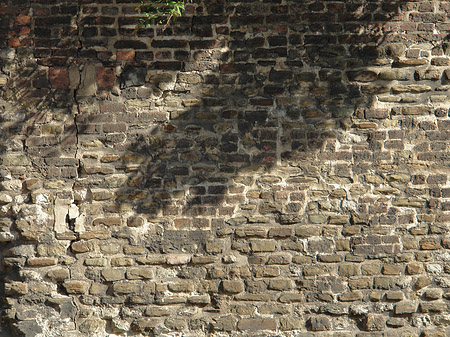 Fotos Burgmauer