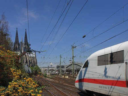 Foto Kölner Dom mit ICE