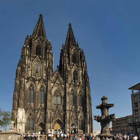 Kreuzblume vor Kölner Dom Foto 