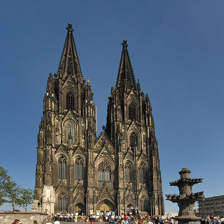Kreuzblume vor Kölner Dom Fotos