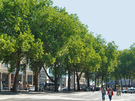 Neumarkt Foto 