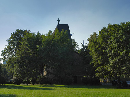 Fotos Sachsenturm hinter Busch | Köln